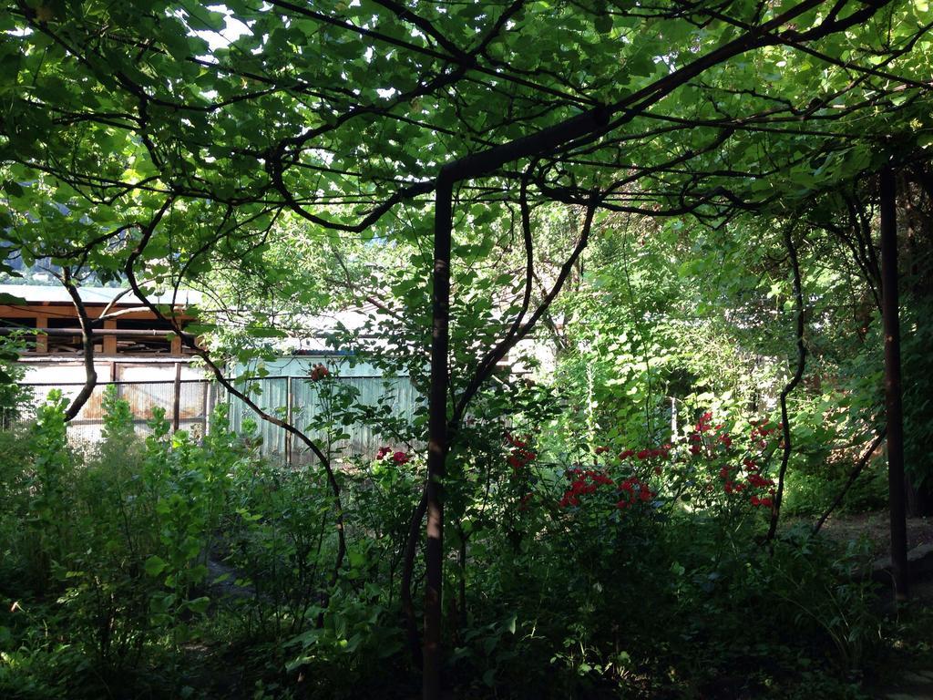 Guest House Besarioni Bordzjomi Buitenkant foto